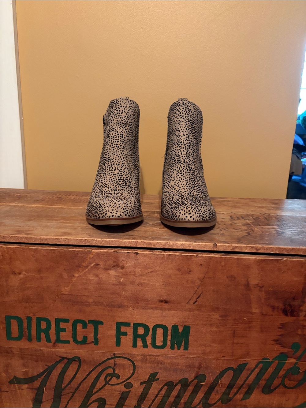 MIA Spotted Suede Ankle Booties in Tan and Black